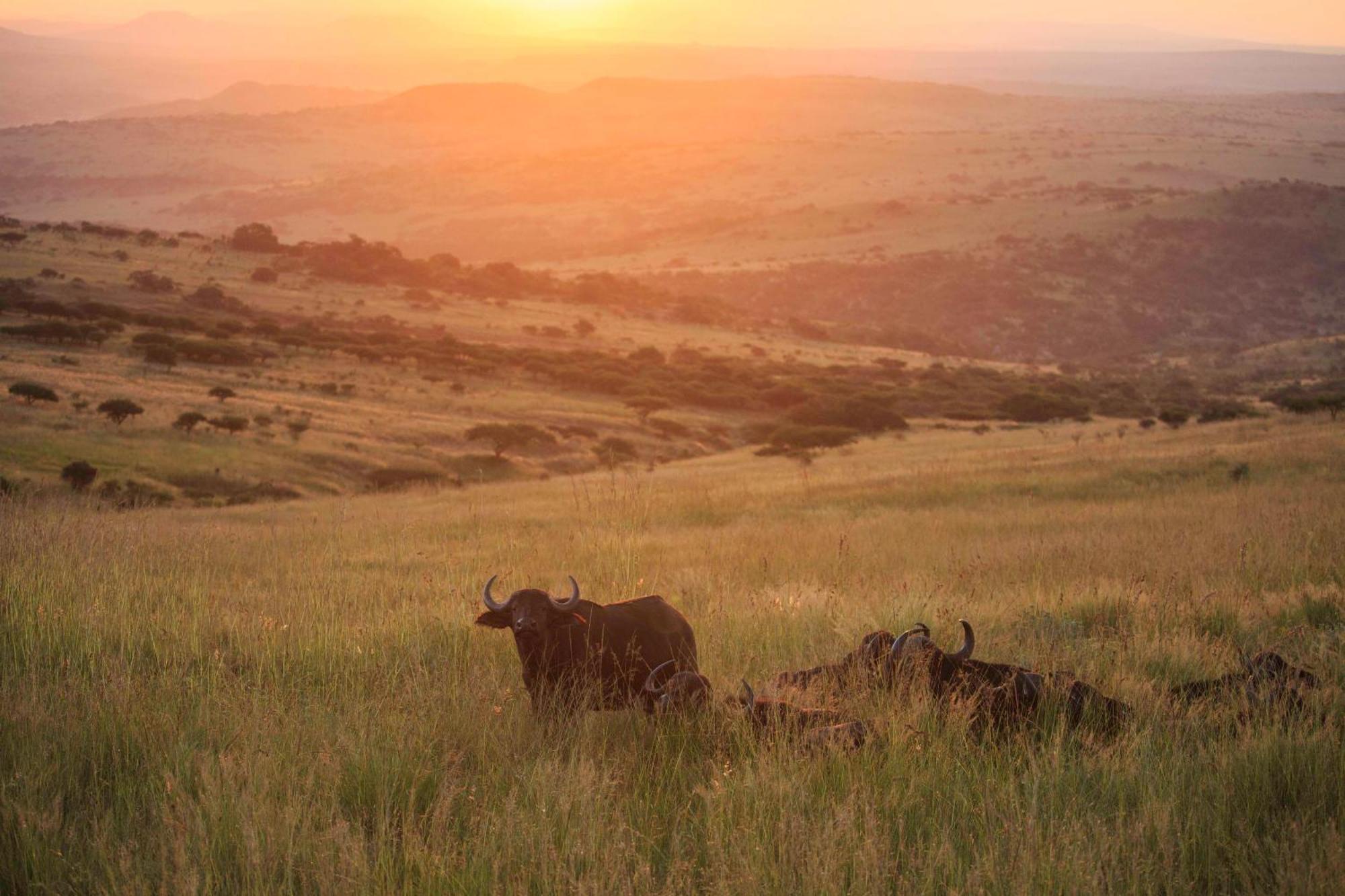 Valley Lodge - Babanango Game Reserve Dundee Buitenkant foto